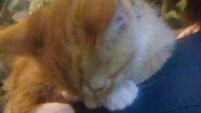 Hey Pandas, Show Us What Your Pet Is Doing Right Now (Closed) Hey Pandas, Show Us What Your Pet Is Doing Right Now (Closed)