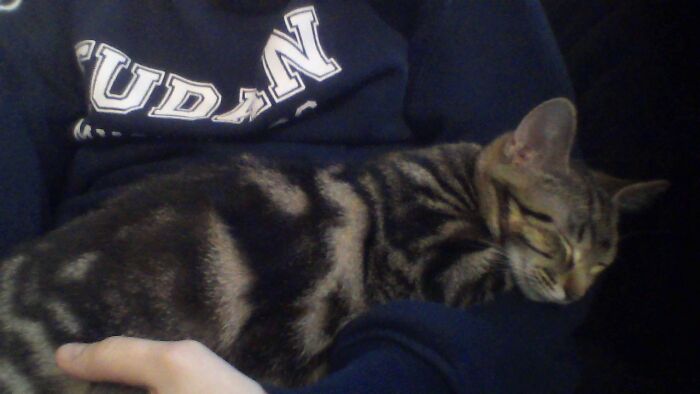 Hey Pandas, Show Us What Your Pet Is Doing Right Now (Closed) Hey Pandas, Show Us What Your Pet Is Doing Right Now (Closed)