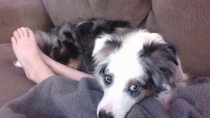 Hey Pandas, Show Us What Your Pet Is Doing Right Now (Closed) Hey Pandas, Show Us What Your Pet Is Doing Right Now (Closed)