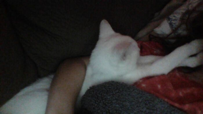 Hey Pandas, Show Us What Your Pet Is Doing Right Now (Closed) Hey Pandas, Show Us What Your Pet Is Doing Right Now (Closed)