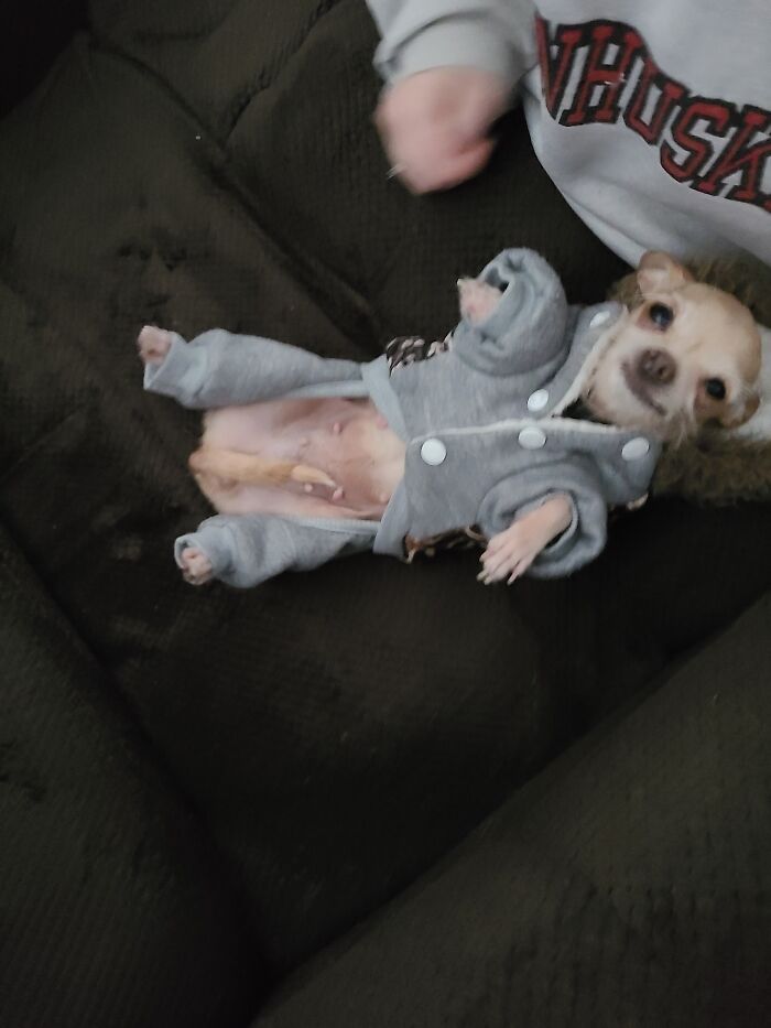 Hey Pandas, Show Us What Your Pet Is Doing Right Now (Closed) Hey Pandas, Show Us What Your Pet Is Doing Right Now (Closed)