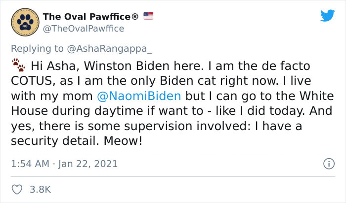 Biden’s Dogs Just Moved Into The White House And The Photos Are Just Precious (11 Pics) Biden’s Dogs Just Moved Into The White House And The Photos Are Just Precious (11 Pics)