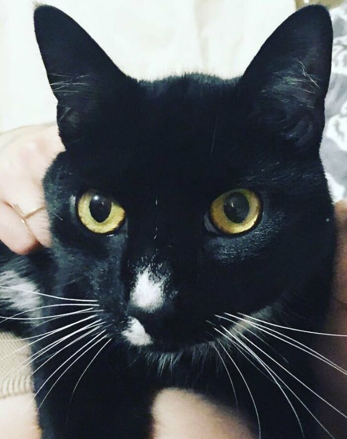 Biden’s Dogs Just Moved Into The White House And The Photos Are Just Precious (11 Pics) Biden’s Dogs Just Moved Into The White House And The Photos Are Just Precious (11 Pics)