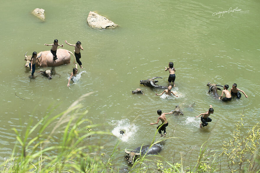 My 29 Pictures That Show The Relationship Between Buffalos And Vietnamese Farmers My 29 Pictures That Show The Relationship Between Buffalos And Vietnamese Farmers