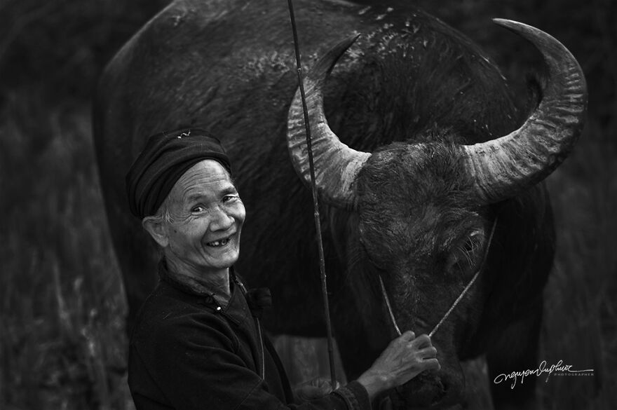My 29 Pictures That Show The Relationship Between Buffalos And Vietnamese Farmers My 29 Pictures That Show The Relationship Between Buffalos And Vietnamese Farmers
