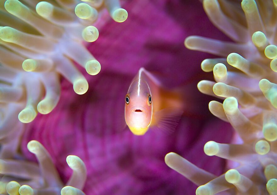 The 30 Most Stunning Photos Of Nature From Last Year’s International Photo Awards The 30 Most Stunning Photos Of Nature From Last Year’s International Photo Awards