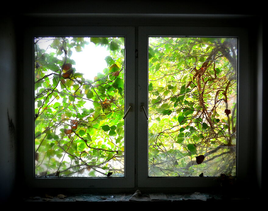 My Exploration Of A Clinic That Was Abandoned In 2002, From One Day To The Next My Exploration Of A Clinic That Was Abandoned In 2002, From One Day To The Next