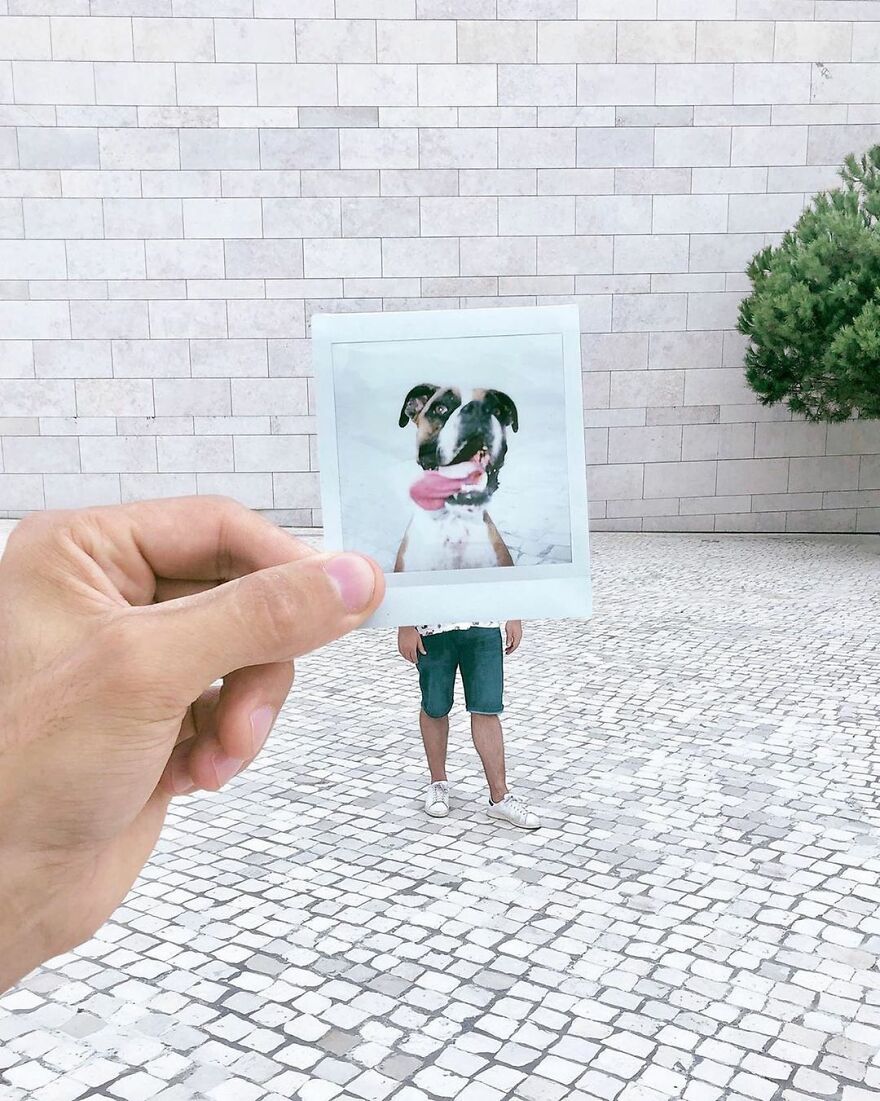 I Used Unorthodox Perspectives To Create These 52 Photos I Used Unorthodox Perspectives To Create These 52 Photos