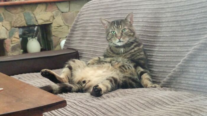 Hey Pandas, Post The Most Unflattering Photo Of Your Pet (Closed) Hey Pandas, Post The Most Unflattering Photo Of Your Pet (Closed)