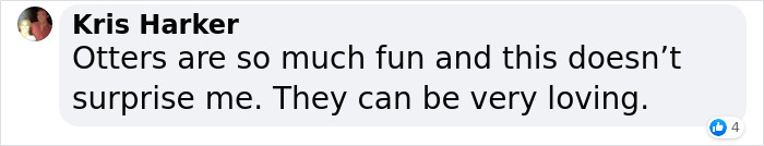 Pet Otter Cuddles Up To A Kitten As They Go To Sleep And 8M People On YouTube Are Captivated