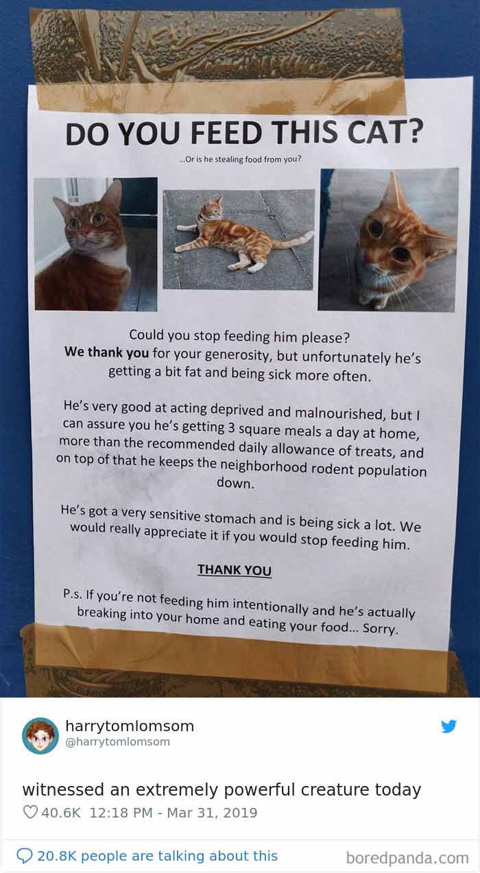 34 Times Cats Acted So Audacious That Their Owners Put Up A Sign To Warn Others About Their Ways 34 Times Cats Acted So Audacious That Their Owners Put Up A Sign To Warn Others About Their Ways