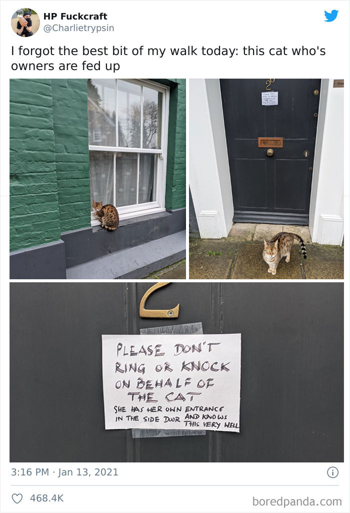 34 Times Cats Acted So Audacious That Their Owners Put Up A Sign To Warn Others About Their Ways 34 Times Cats Acted So Audacious That Their Owners Put Up A Sign To Warn Others About Their Ways