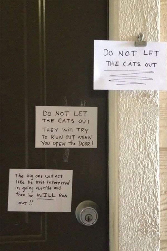 34 Times Cats Acted So Audacious That Their Owners Put Up A Sign To Warn Others About Their Ways 34 Times Cats Acted So Audacious That Their Owners Put Up A Sign To Warn Others About Their Ways