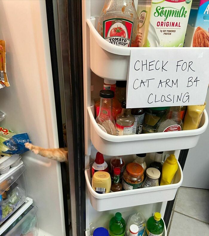 34 Times Cats Acted So Audacious That Their Owners Put Up A Sign To Warn Others About Their Ways 34 Times Cats Acted So Audacious That Their Owners Put Up A Sign To Warn Others About Their Ways