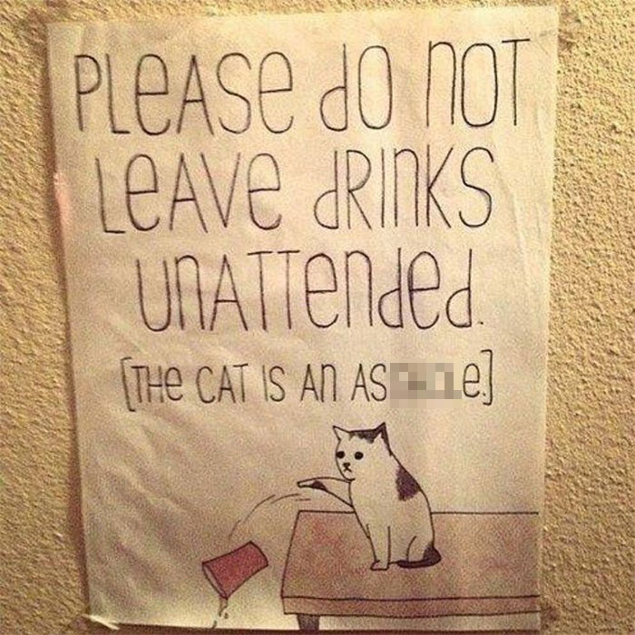 34 Times Cats Acted So Audacious That Their Owners Put Up A Sign To Warn Others About Their Ways 34 Times Cats Acted So Audacious That Their Owners Put Up A Sign To Warn Others About Their Ways