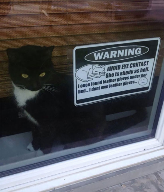 34 Times Cats Acted So Audacious That Their Owners Put Up A Sign To Warn Others About Their Ways 34 Times Cats Acted So Audacious That Their Owners Put Up A Sign To Warn Others About Their Ways