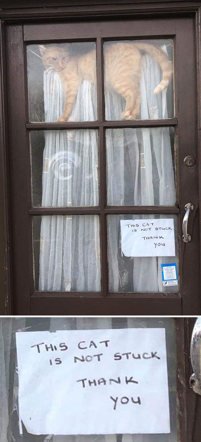 34 Times Cats Acted So Audacious That Their Owners Put Up A Sign To Warn Others About Their Ways 34 Times Cats Acted So Audacious That Their Owners Put Up A Sign To Warn Others About Their Ways