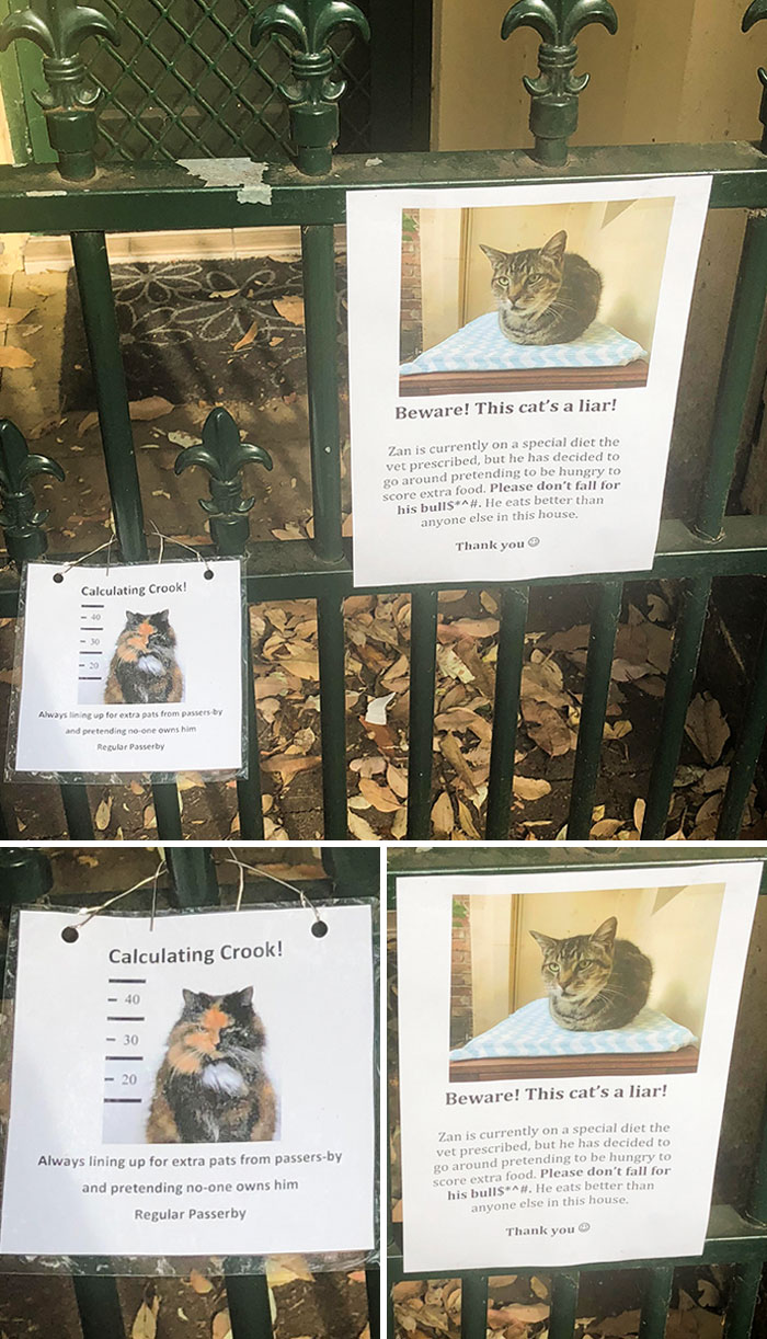 34 Times Cats Acted So Audacious That Their Owners Put Up A Sign To Warn Others About Their Ways 34 Times Cats Acted So Audacious That Their Owners Put Up A Sign To Warn Others About Their Ways