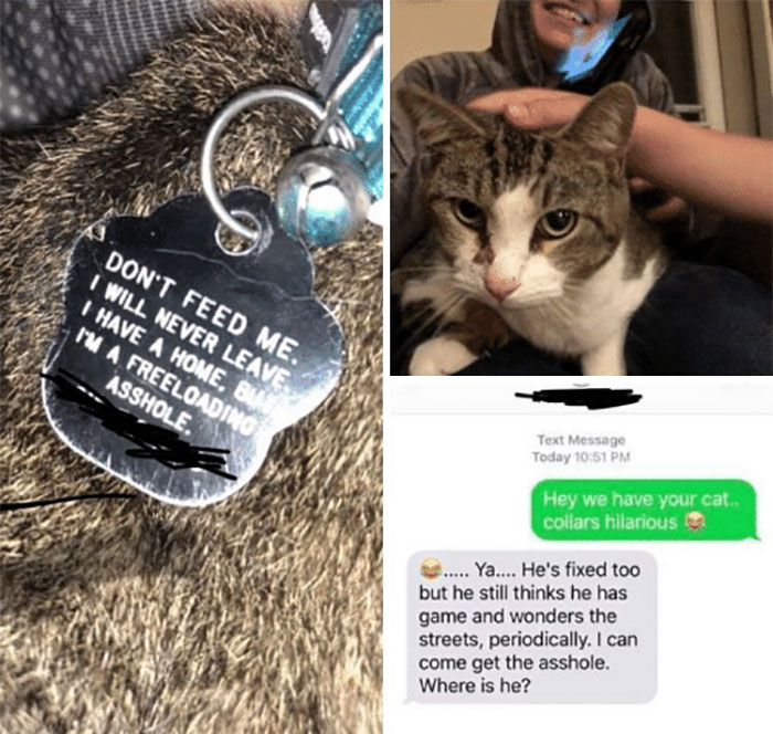 34 Times Cats Acted So Audacious That Their Owners Put Up A Sign To Warn Others About Their Ways 34 Times Cats Acted So Audacious That Their Owners Put Up A Sign To Warn Others About Their Ways