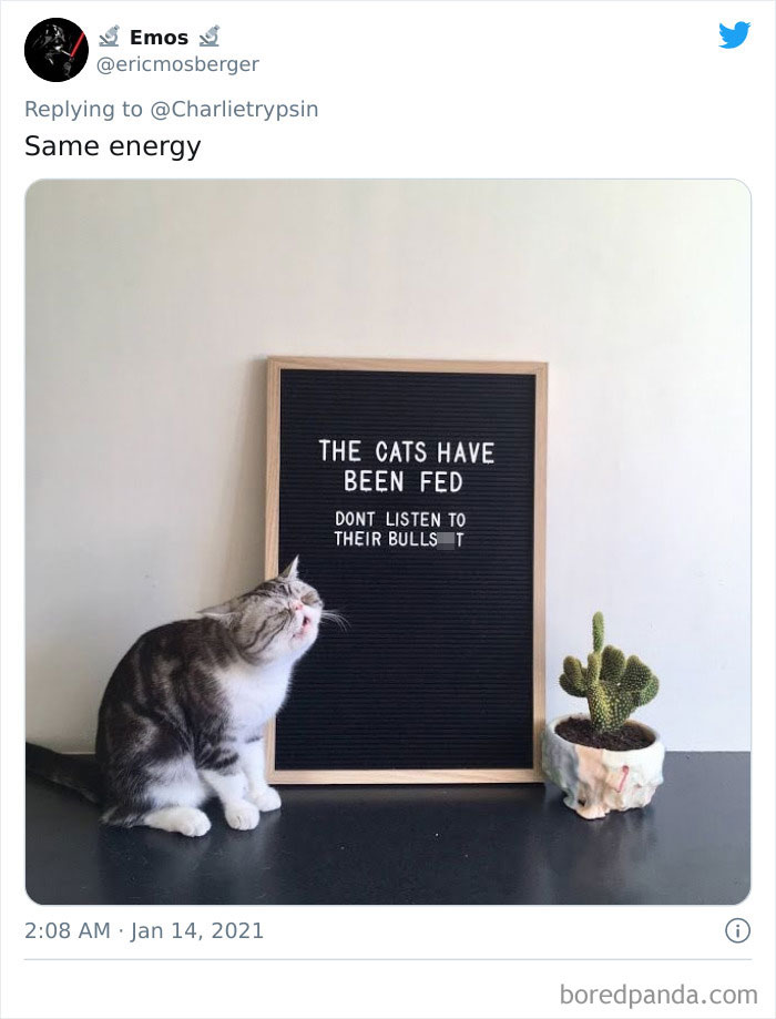 34 Times Cats Acted So Audacious That Their Owners Put Up A Sign To Warn Others About Their Ways 34 Times Cats Acted So Audacious That Their Owners Put Up A Sign To Warn Others About Their Ways