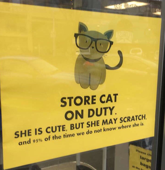 34 Times Cats Acted So Audacious That Their Owners Put Up A Sign To Warn Others About Their Ways 34 Times Cats Acted So Audacious That Their Owners Put Up A Sign To Warn Others About Their Ways