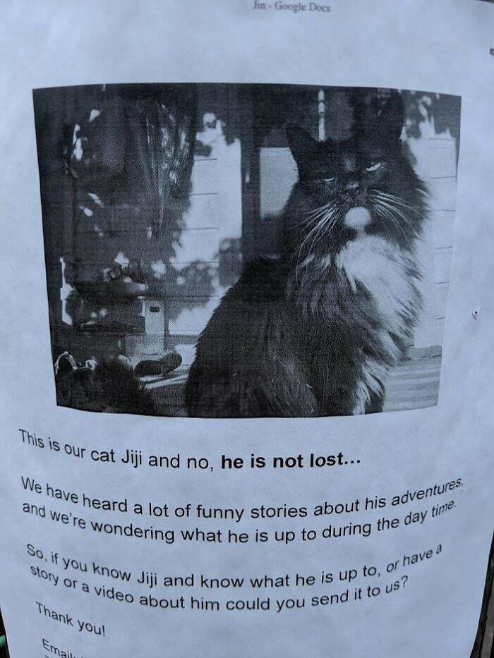 34 Times Cats Acted So Audacious That Their Owners Put Up A Sign To Warn Others About Their Ways 34 Times Cats Acted So Audacious That Their Owners Put Up A Sign To Warn Others About Their Ways