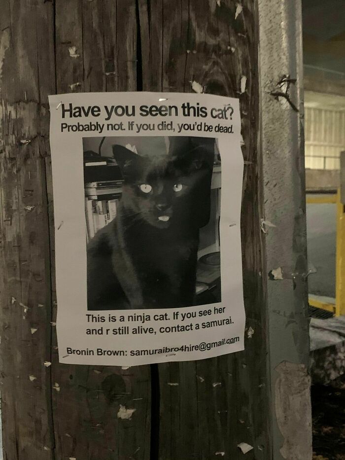34 Times Cats Acted So Audacious That Their Owners Put Up A Sign To Warn Others About Their Ways 34 Times Cats Acted So Audacious That Their Owners Put Up A Sign To Warn Others About Their Ways