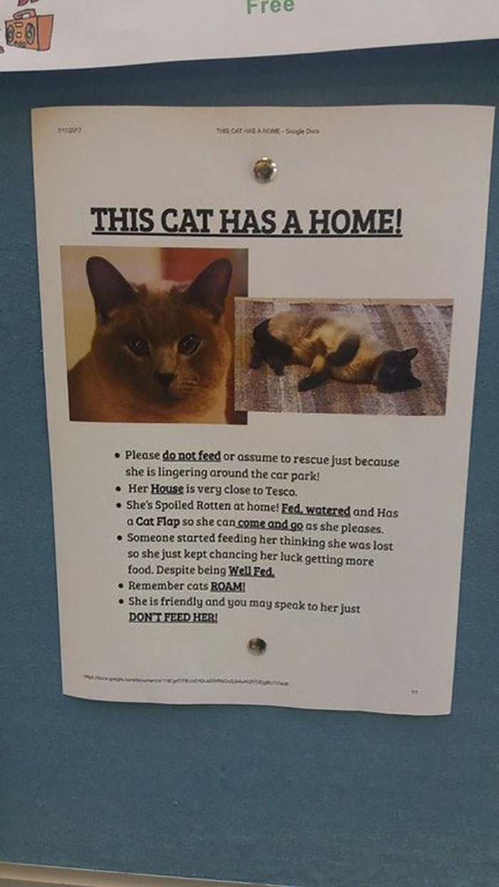 34 Times Cats Acted So Audacious That Their Owners Put Up A Sign To Warn Others About Their Ways 34 Times Cats Acted So Audacious That Their Owners Put Up A Sign To Warn Others About Their Ways