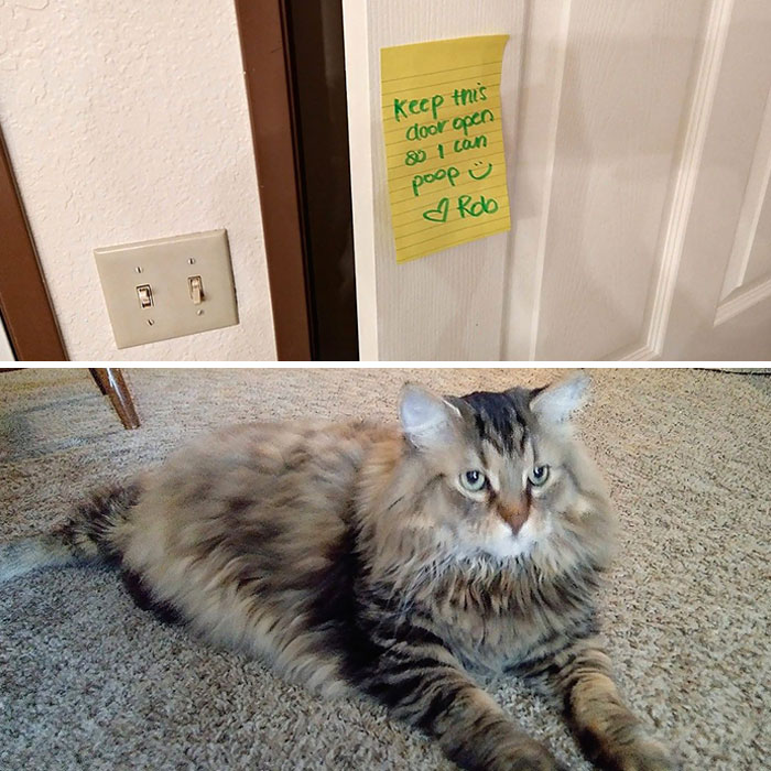 34 Times Cats Acted So Audacious That Their Owners Put Up A Sign To Warn Others About Their Ways 34 Times Cats Acted So Audacious That Their Owners Put Up A Sign To Warn Others About Their Ways
