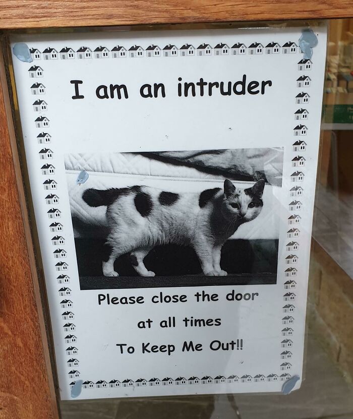34 Times Cats Acted So Audacious That Their Owners Put Up A Sign To Warn Others About Their Ways 34 Times Cats Acted So Audacious That Their Owners Put Up A Sign To Warn Others About Their Ways