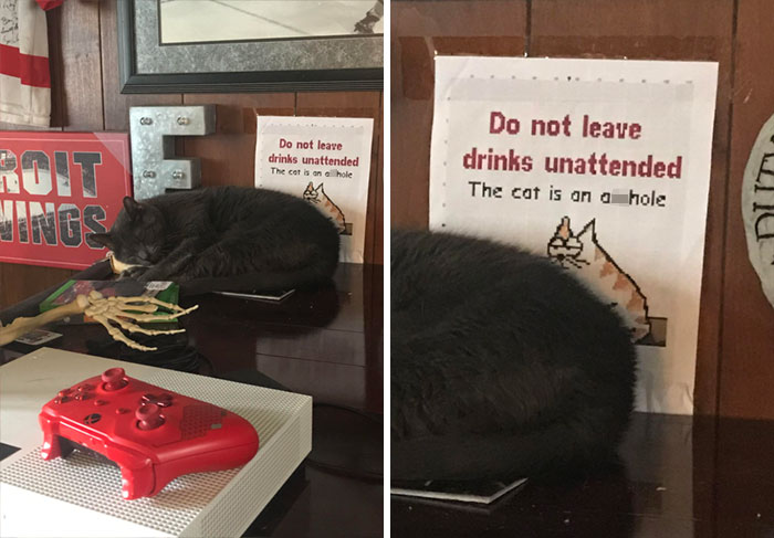 34 Times Cats Acted So Audacious That Their Owners Put Up A Sign To Warn Others About Their Ways 34 Times Cats Acted So Audacious That Their Owners Put Up A Sign To Warn Others About Their Ways