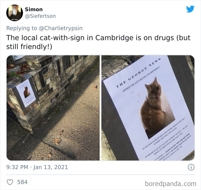34 Times Cats Acted So Audacious That Their Owners Put Up A Sign To Warn Others About Their Ways 34 Times Cats Acted So Audacious That Their Owners Put Up A Sign To Warn Others About Their Ways