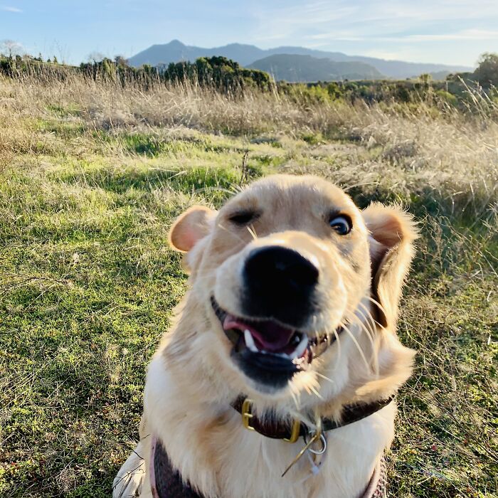 Pandas, Share A Dumb Pic Of Your Pet (Closed) Pandas, Share A Dumb Pic Of Your Pet (Closed)