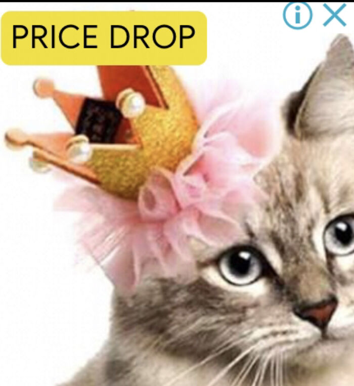 Hey Pandas, What Are Some Weird Ads You’ve Seen? (Closed) Hey Pandas, What Are Some Weird Ads You’ve Seen? (Closed)