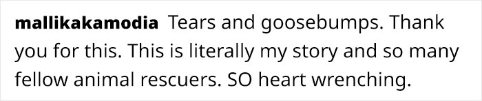 Artist Who Made People Cry With Her Grim Reaper Animal Comics Is Back, And This Time It’s About Paying Tribute To Shelter Staff Artist Who Made People Cry With Her Grim Reaper Animal Comics Is Back, And This Time It’s About Paying Tribute To Shelter Staff