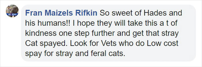 Pit Bull Kindly Asks Owners To Allow A Pregnant Cat Inside So It Can Give Birth Pit Bull Kindly Asks Owners To Allow A Pregnant Cat Inside So It Can Give Birth