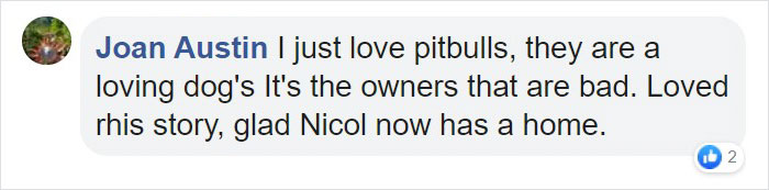 Pit Bull Kindly Asks Owners To Allow A Pregnant Cat Inside So It Can Give Birth Pit Bull Kindly Asks Owners To Allow A Pregnant Cat Inside So It Can Give Birth