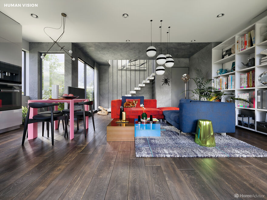 Here’s How These 7 Pets See The World Around Them Here’s How These 7 Pets See The World Around Them