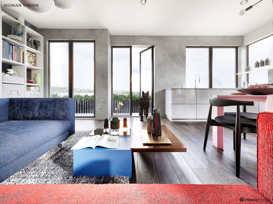 Here’s How These 7 Pets See The World Around Them Here’s How These 7 Pets See The World Around Them