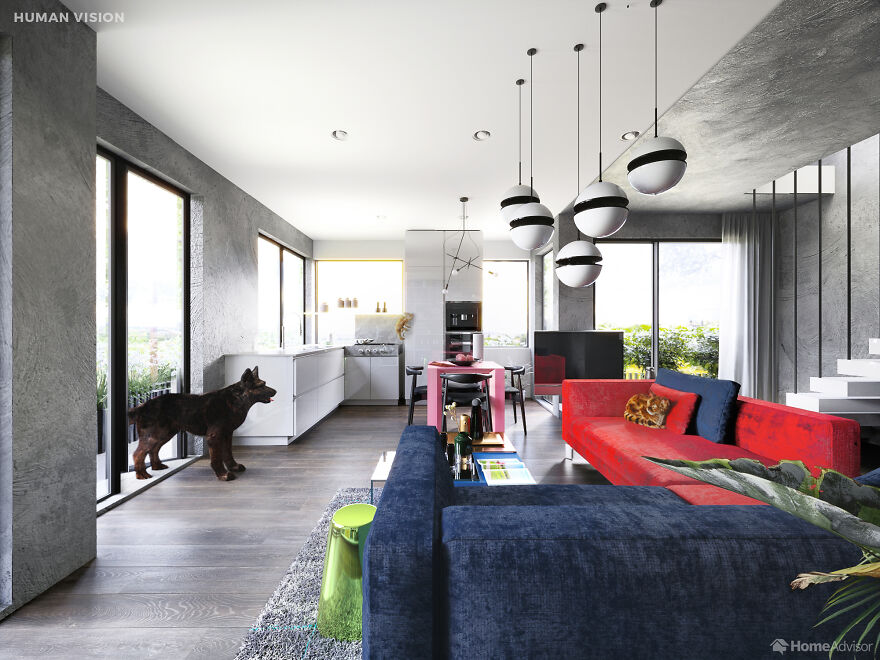 Here’s How These 7 Pets See The World Around Them Here’s How These 7 Pets See The World Around Them