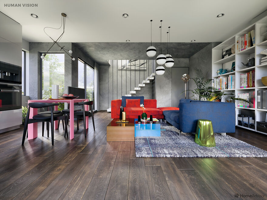 Here’s How These 7 Pets See The World Around Them Here’s How These 7 Pets See The World Around Them