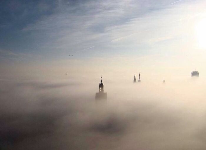 Pandas, What Picture (Taken On Your Phone) Are You Most Proud Of? (Closed) Pandas, What Picture (Taken On Your Phone) Are You Most Proud Of? (Closed)