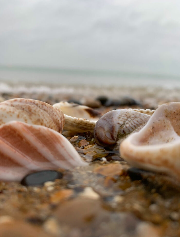 Pandas, What Picture (Taken On Your Phone) Are You Most Proud Of? (Closed) Pandas, What Picture (Taken On Your Phone) Are You Most Proud Of? (Closed)