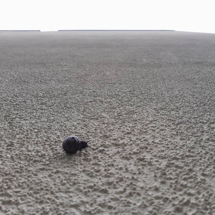 Pandas, What Picture (Taken On Your Phone) Are You Most Proud Of? (Closed) Pandas, What Picture (Taken On Your Phone) Are You Most Proud Of? (Closed)