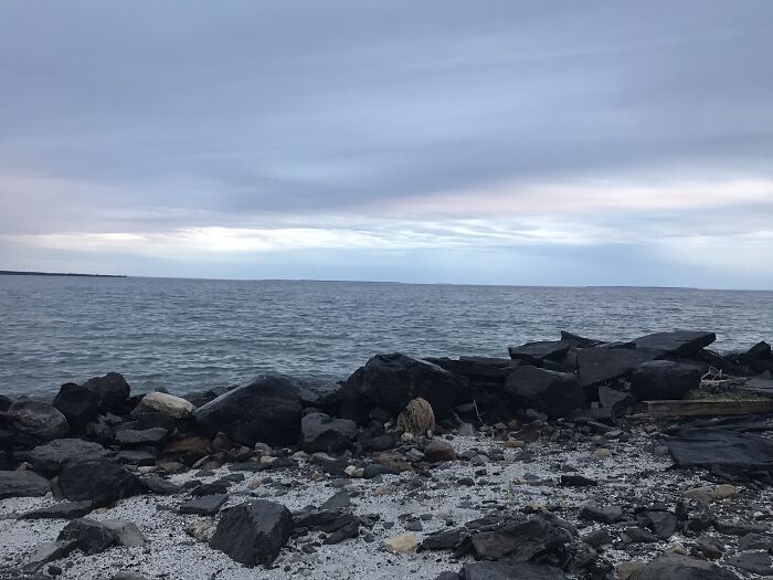 Pandas, What Picture (Taken On Your Phone) Are You Most Proud Of? (Closed) Pandas, What Picture (Taken On Your Phone) Are You Most Proud Of? (Closed)