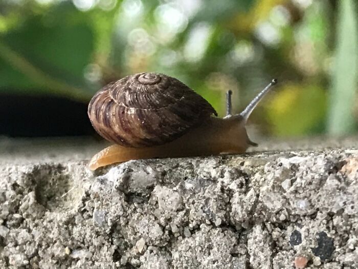 Pandas, What Picture (Taken On Your Phone) Are You Most Proud Of? (Closed) Pandas, What Picture (Taken On Your Phone) Are You Most Proud Of? (Closed)