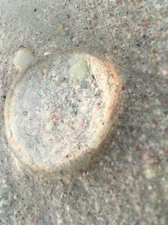 Pandas, What Picture (Taken On Your Phone) Are You Most Proud Of? (Closed) Pandas, What Picture (Taken On Your Phone) Are You Most Proud Of? (Closed)