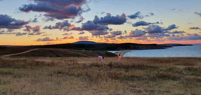 Pandas, What Picture (Taken On Your Phone) Are You Most Proud Of? (Closed) Pandas, What Picture (Taken On Your Phone) Are You Most Proud Of? (Closed)