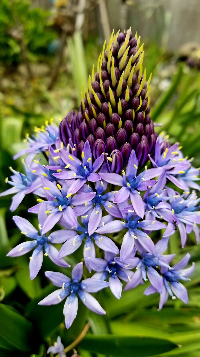 Pandas, What Picture (Taken On Your Phone) Are You Most Proud Of? (Closed) Pandas, What Picture (Taken On Your Phone) Are You Most Proud Of? (Closed)