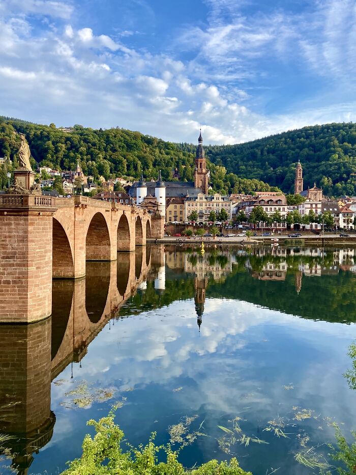 Pandas, What Picture (Taken On Your Phone) Are You Most Proud Of? (Closed) Pandas, What Picture (Taken On Your Phone) Are You Most Proud Of? (Closed)